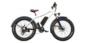 Rad Power Bikes Rad Rover Electric Bike Review 1