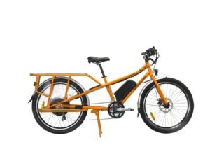 Rad Power Bikes Radwagon Electric Bike Review 1