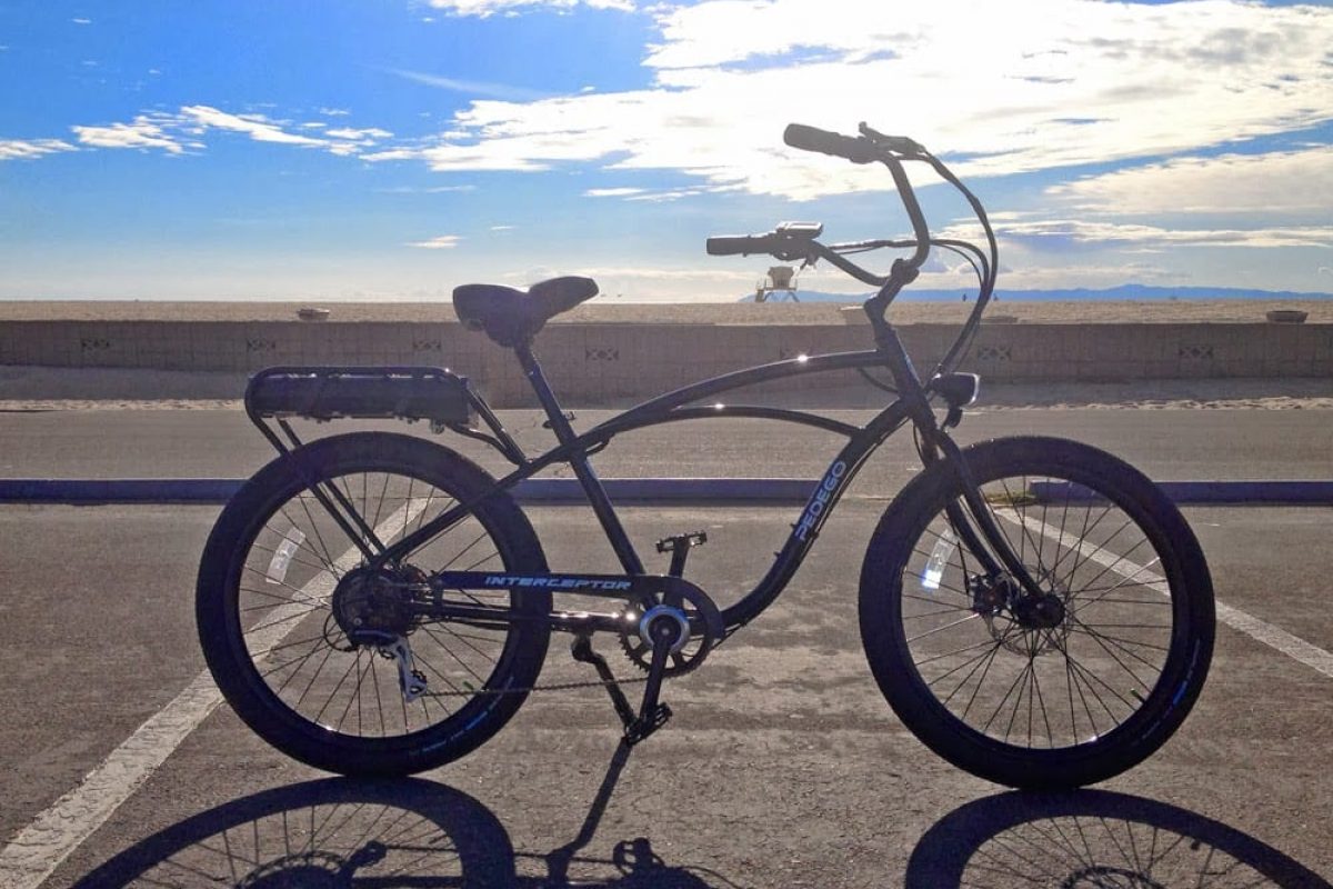 interceptor pedego