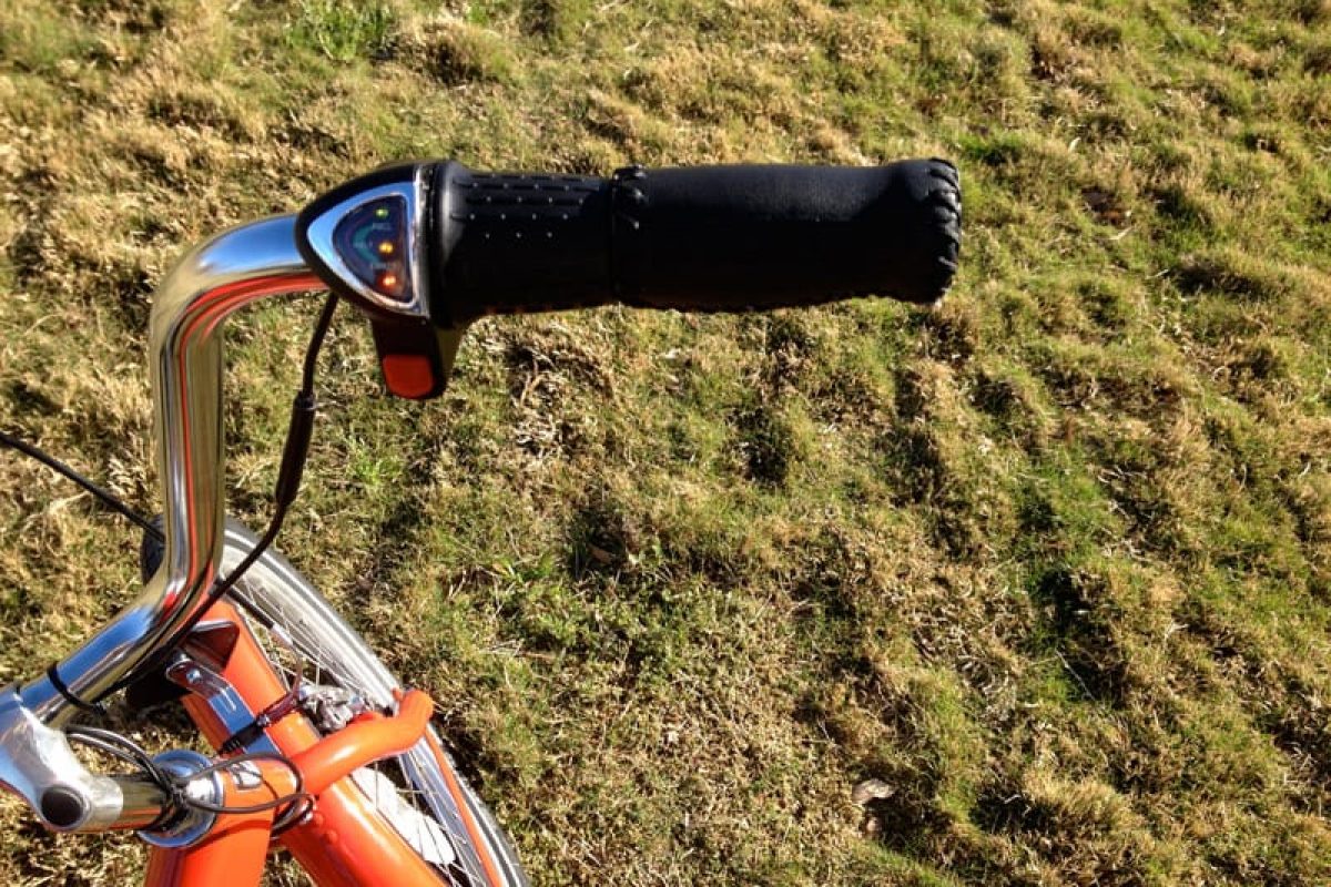 2014 Pedego Trike Review