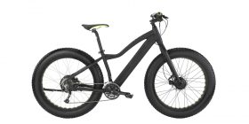 Easy Motion Big Bud Pro Electric Bike Review