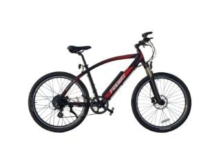 Freway Buffalo Electric Bike Review