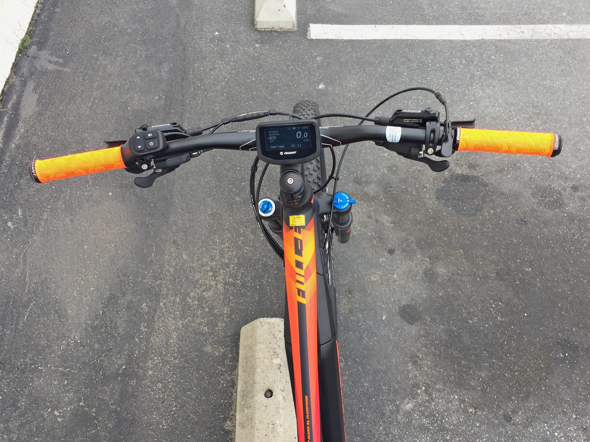 giant bike grips