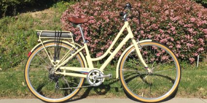 Raleigh Superbe Ie