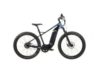 Evelo Delta Electric Bike Review