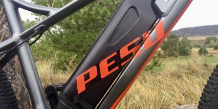 Pesu Monster 250w Downtube Battery With Usb Port And Charger Port