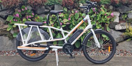 2018 Rad Power Bikes Radwagon
