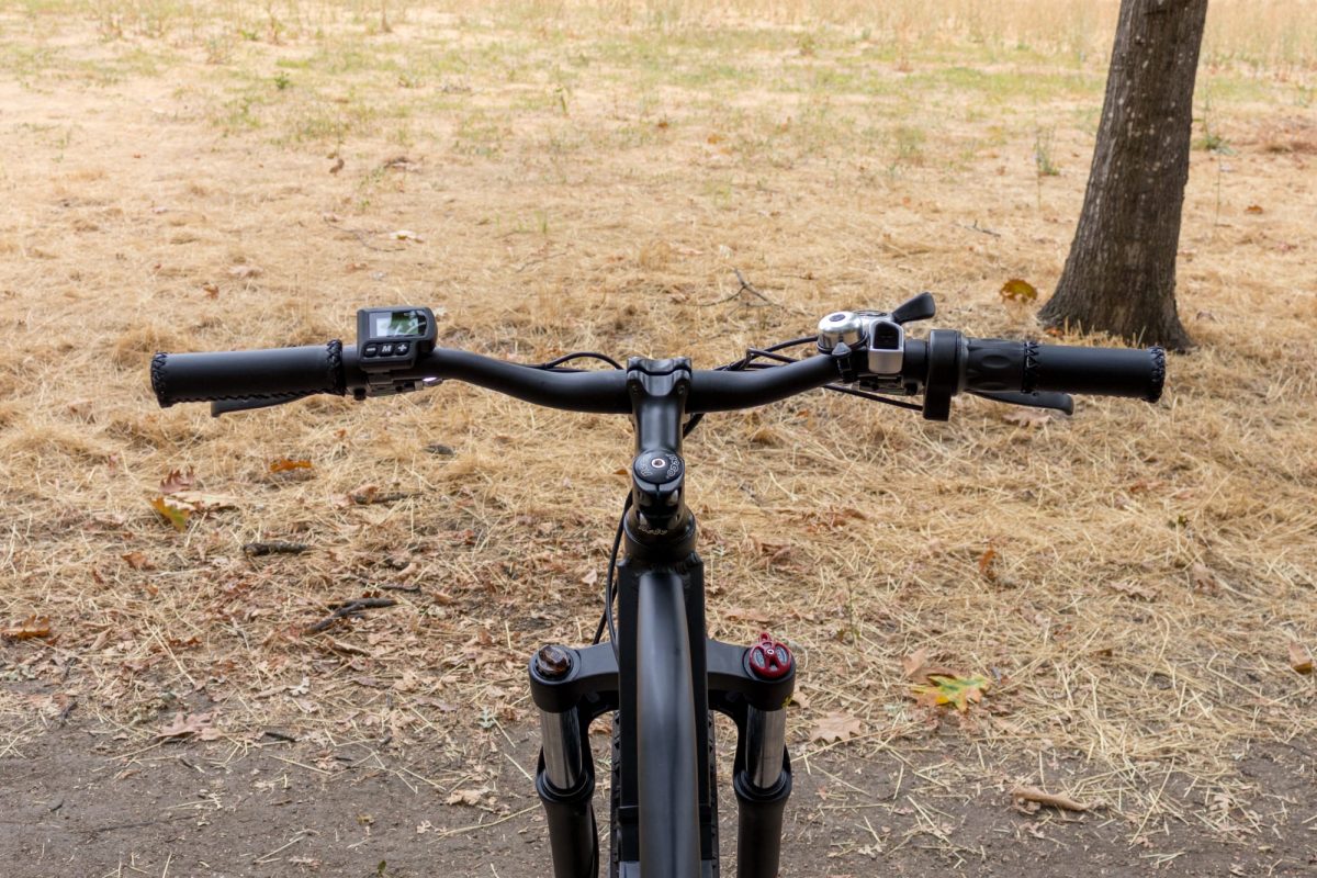 REVI BIKES Predator Review