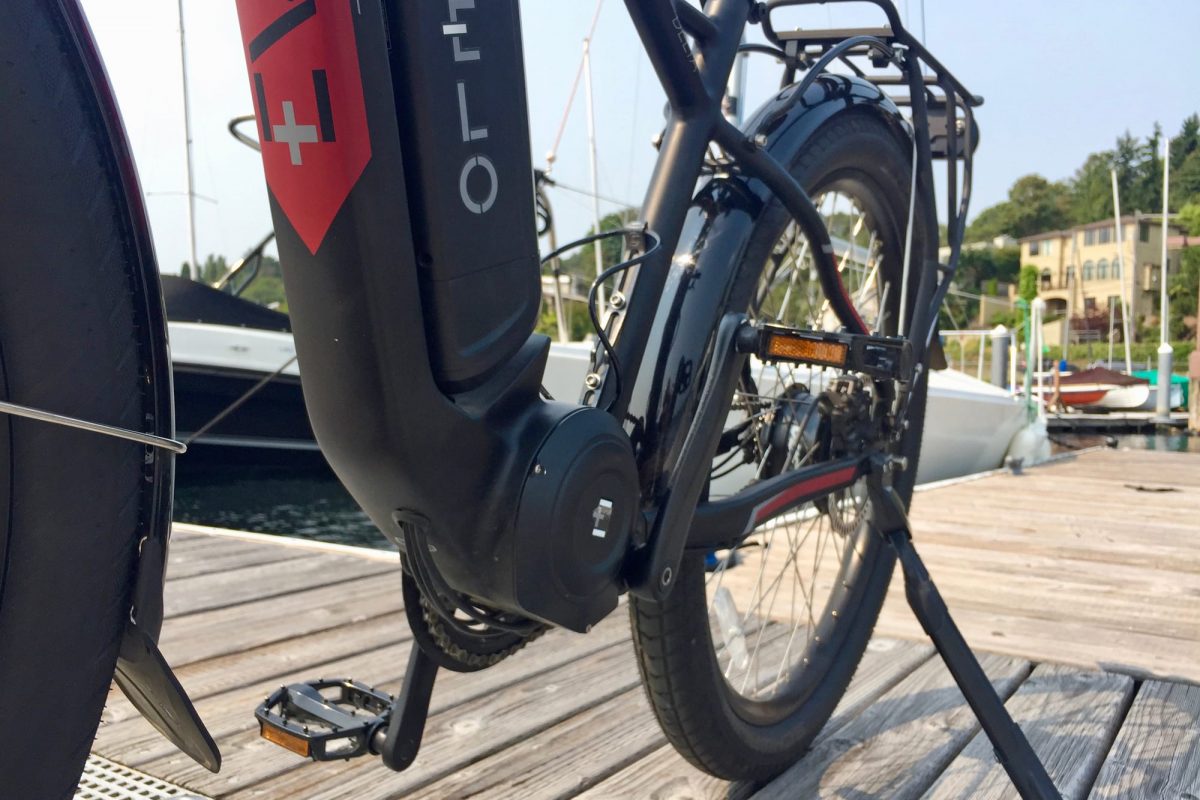 evelo delta