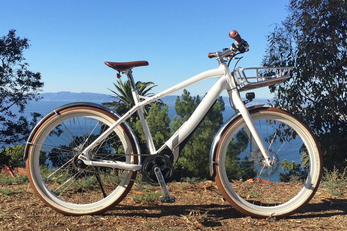 bulls sturmvogel e evo 2018