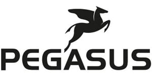 pegasus bike germany