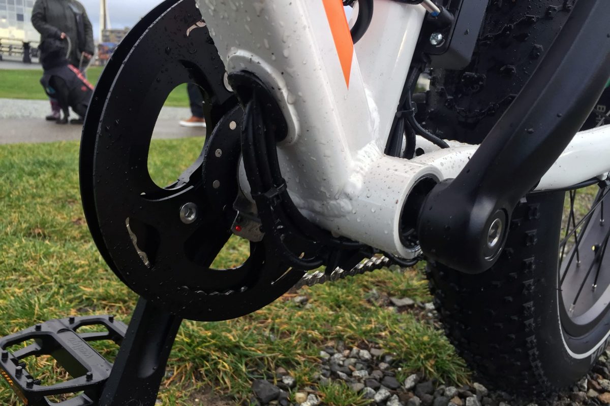 2019 Rad Power Bikes RadRover Review | ElectricBikeReview.com