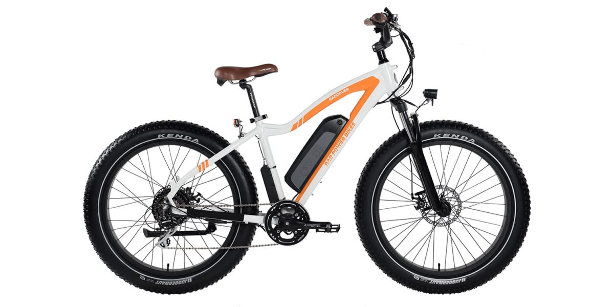 2019 electric bike reviews