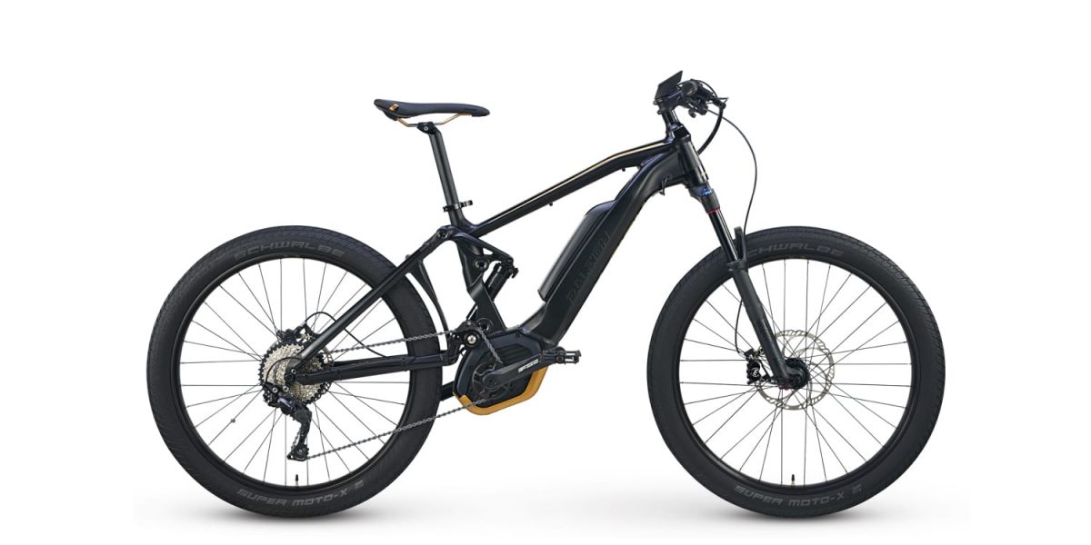 Raleigh Lore DS iE Review ElectricBikeReview