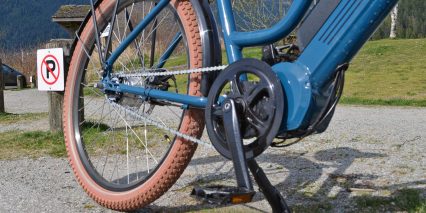 2019 Biktrix Stunner Chain Ring Guard Platform Pedals