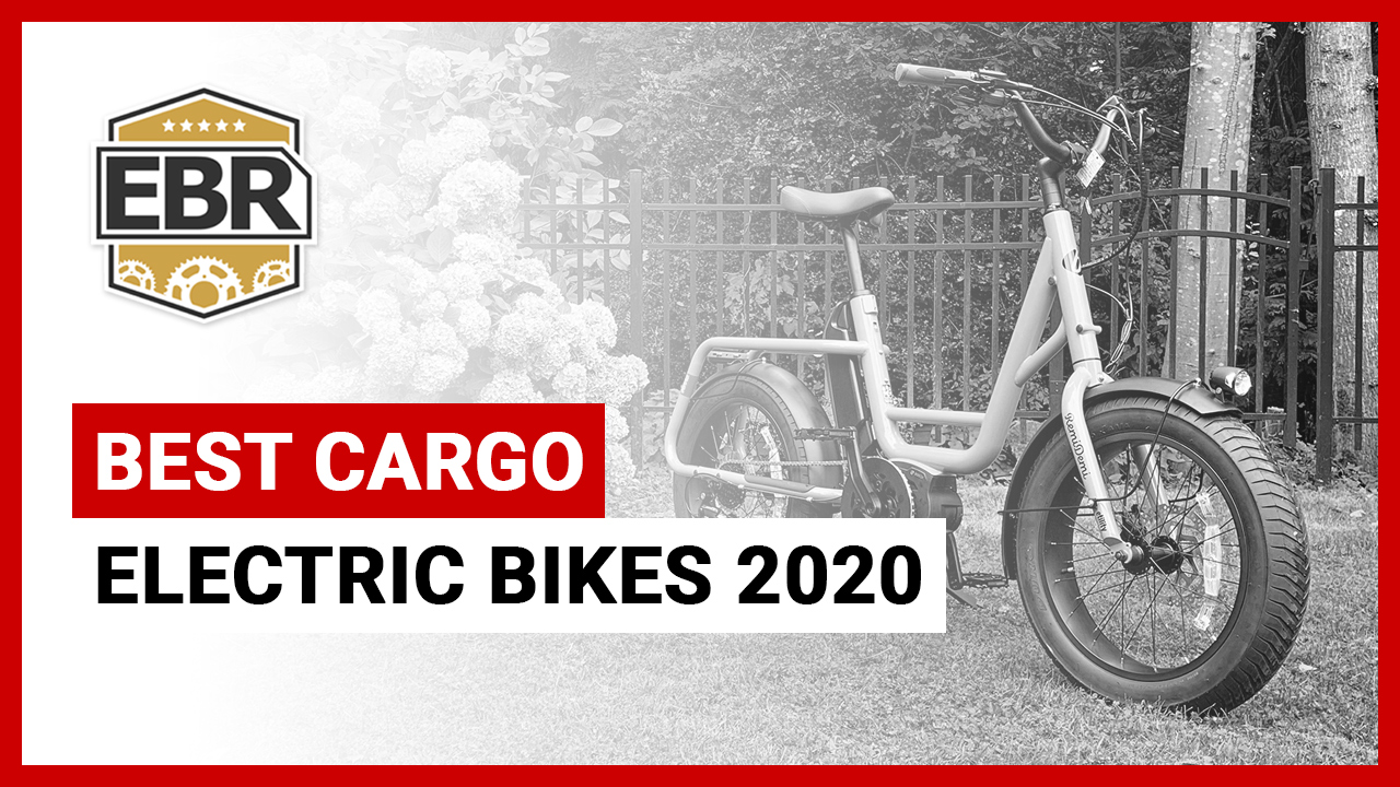 cargo ebike 2020