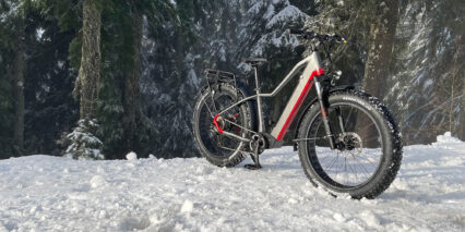 Igo Electric Core Extreme 3 0 Electric Fat Bike In Snow