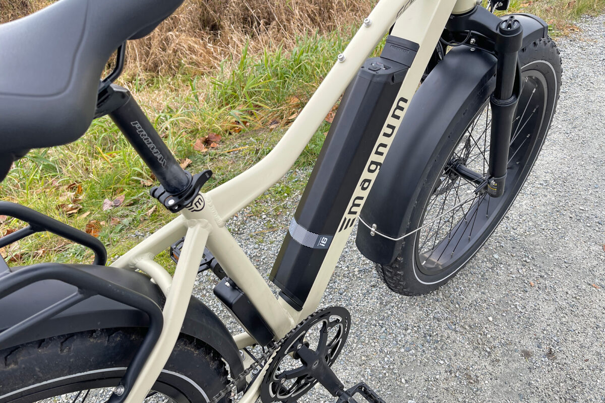 Magnum Scout Review