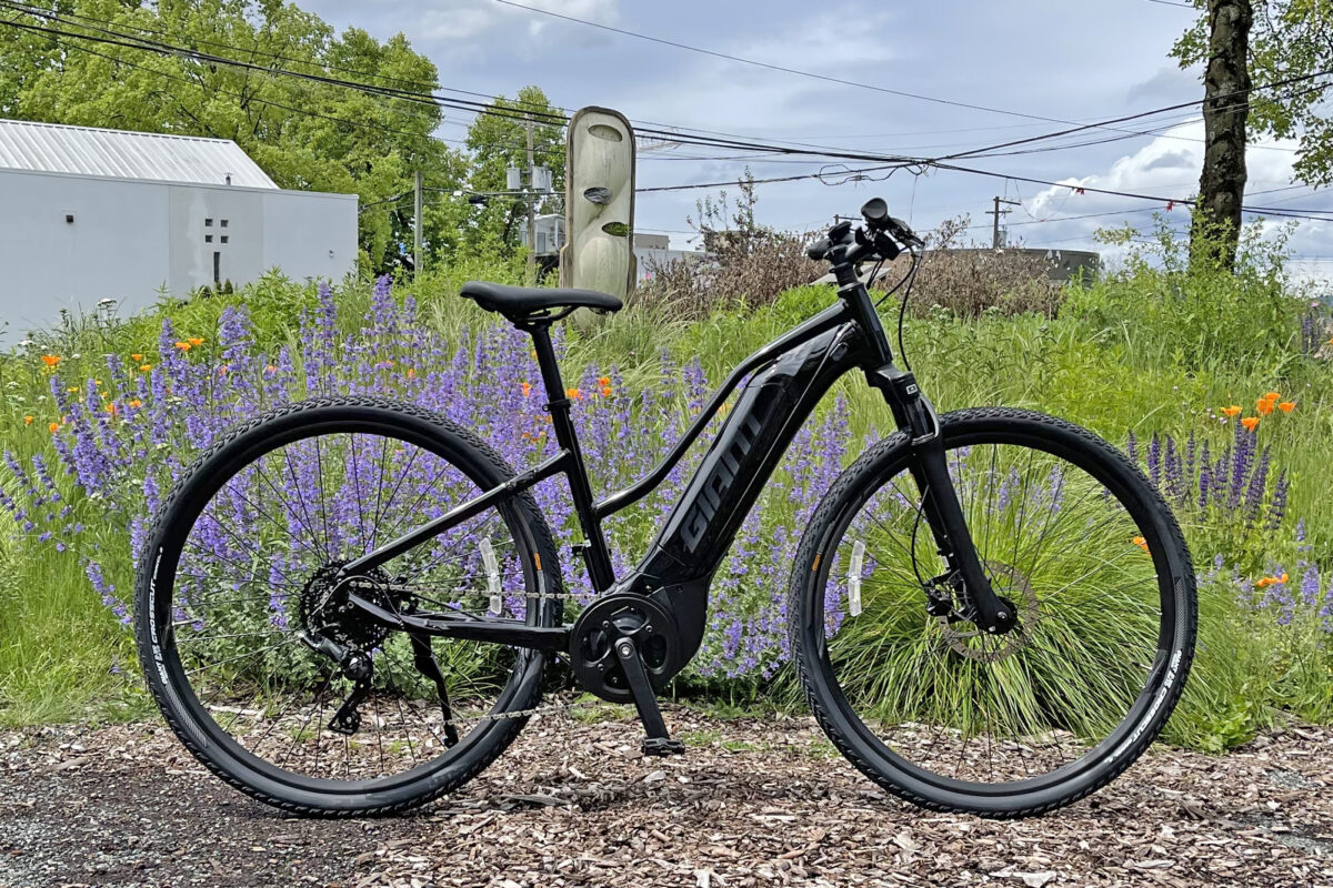 Giant Roam E+ Review