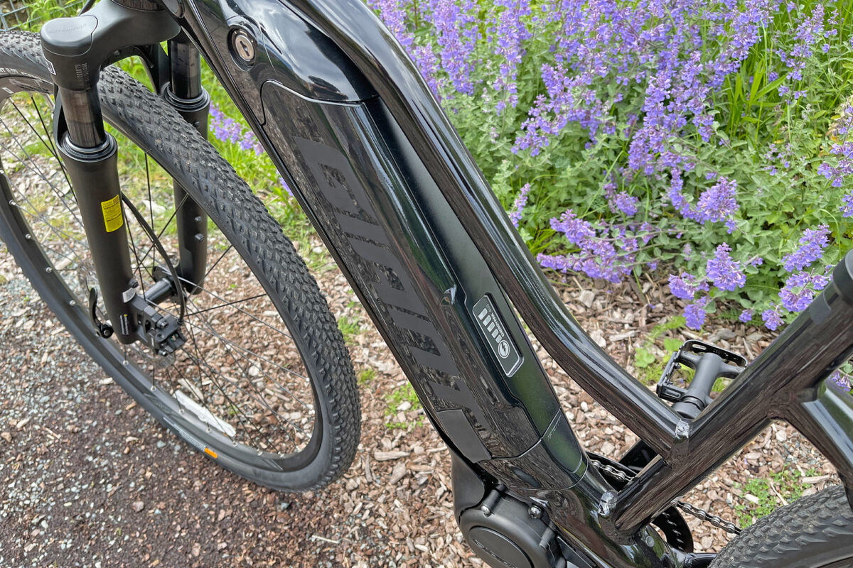 Giant Roam E+ Review