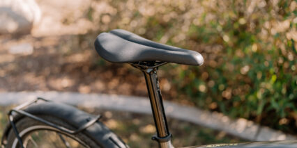 Trek Allant 8S Saddle 1