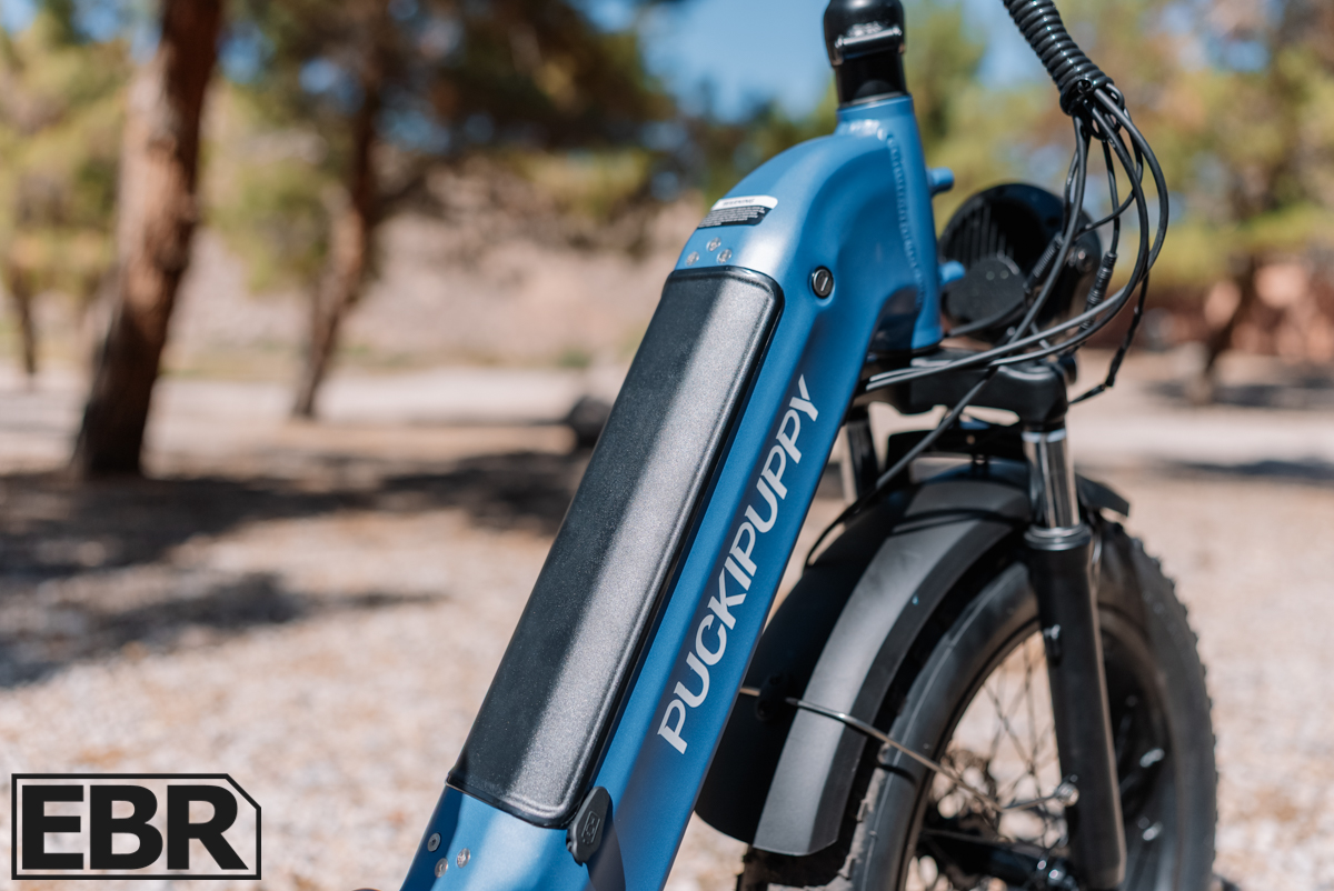 PuckiPuppy Rottweiler Electric Trike Review