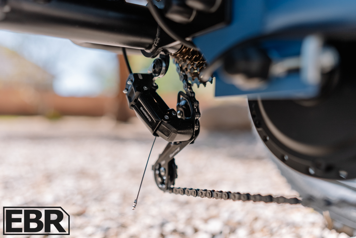 PuckiPuppy Rottweiler Electric Trike Review