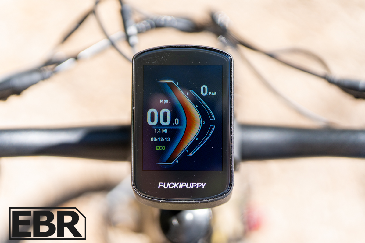 Puckipuppy Golden R (Camo) Display